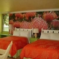 Hotel Indigo Miami Lakes3