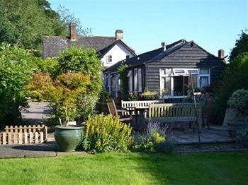 Wisteria Cottage B&B1