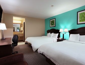 Super 8 Naples4