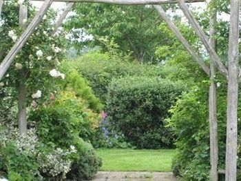 Brook Farm Bed and Breakfast2