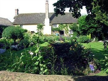 Exmoor Owl & Hawk Centre4