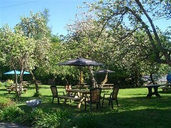 Llanerch Inn0