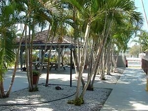 Sarasota Suites2
