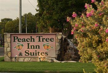 Peach Tree Inn & Suites3