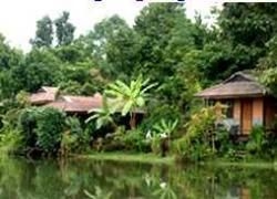 Paradise Spa Resort4