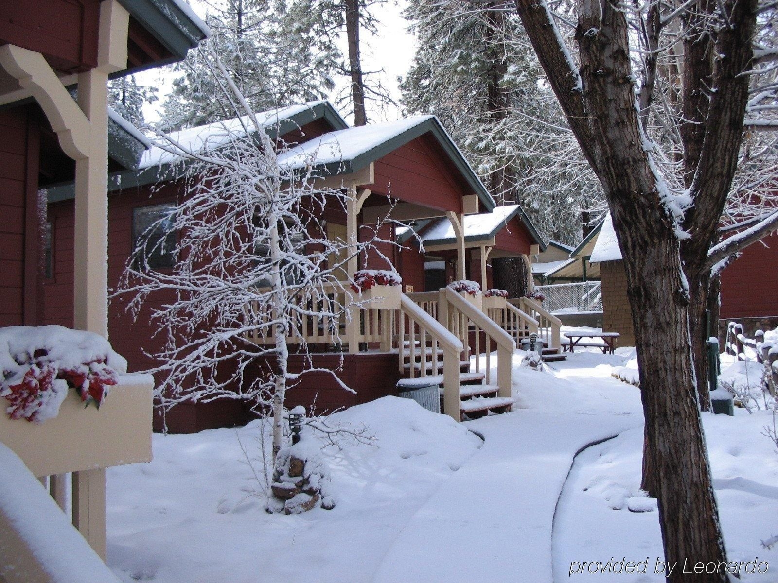 Cozy Hollow Lodge0