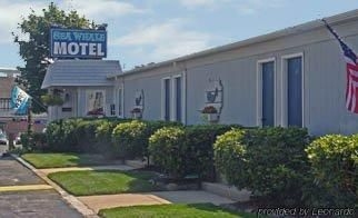 Sea Whale Motel1