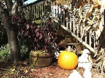 Boyden House Inn B&B1