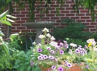 Harvest Moon Bed and Breakfast0