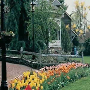 Golden Plough Inn at Peddler's Village0
