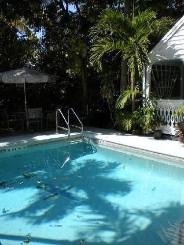 Blue Parrot Inn3