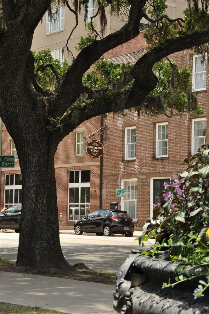 Oglethorpe Lodge4
