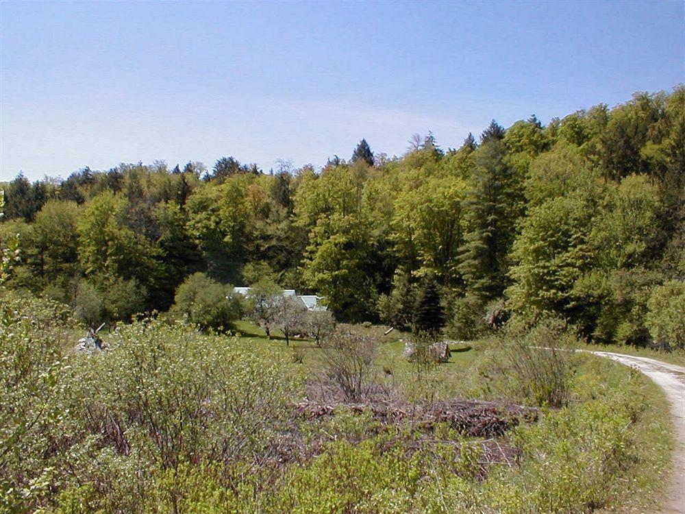 Mountain Valley Retreat1