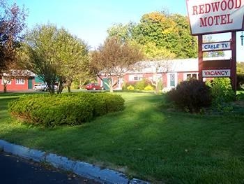 Redwood Motel1