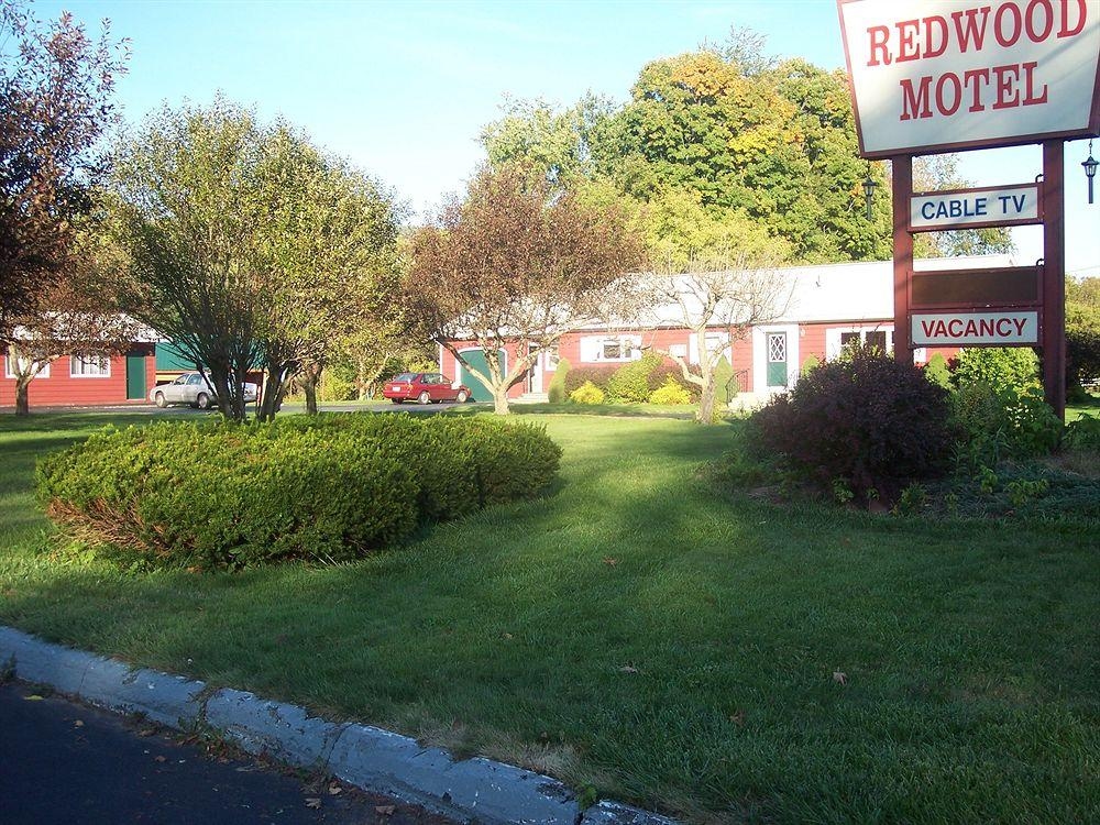 Redwood Motel3