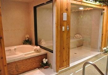 Sybaris Pool Suites Indianapolis3