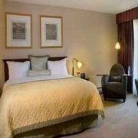 Wyndham Garden Hotel1