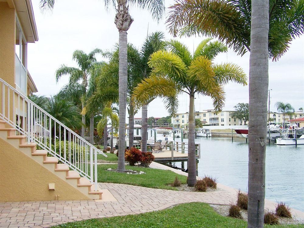 Coconut Villas of Dunedin2