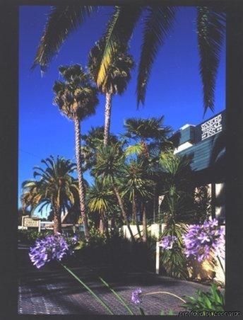 Stanford Terrace Inn3