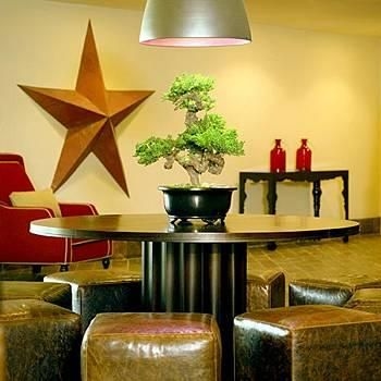 Timbers All Suite Hotel3