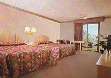 CHATEAU ROYALE INN1