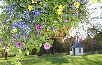Chestnut Hill Bed & Breakfast0