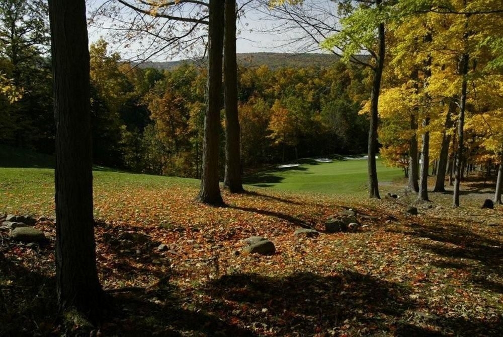 Bristol Harbour Resort2