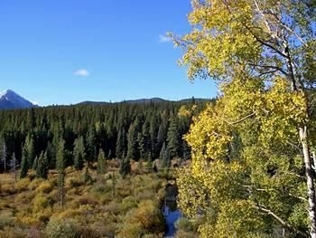Silverthorne Townhome Nightly Rentals1