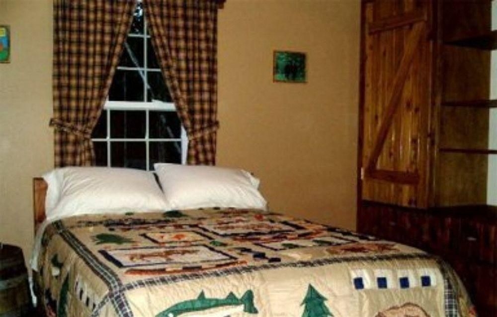 BLONDE BEAR BED AND BREAKFAST4