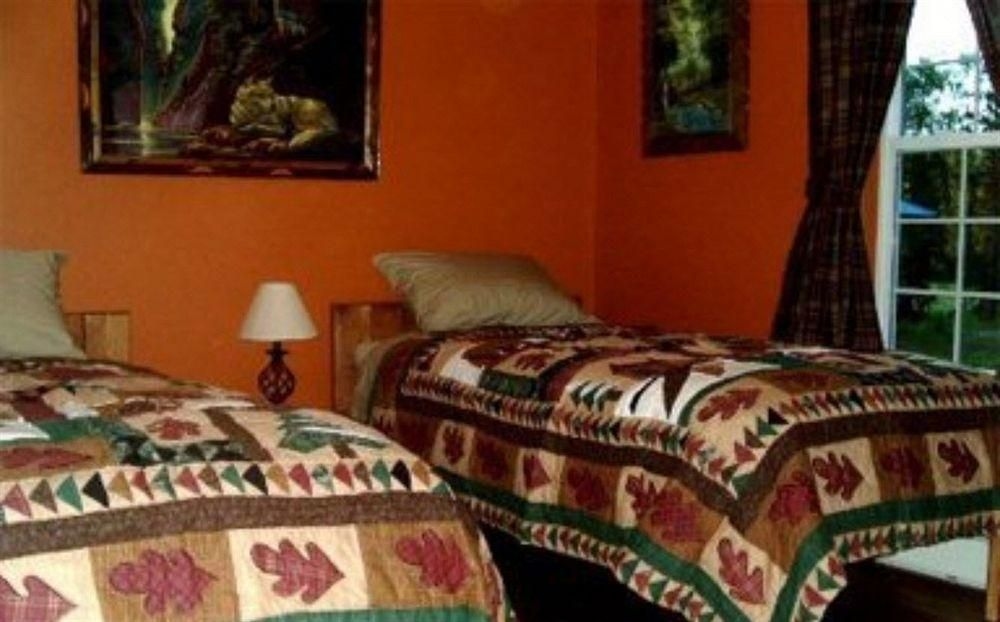 BLONDE BEAR BED AND BREAKFAST2