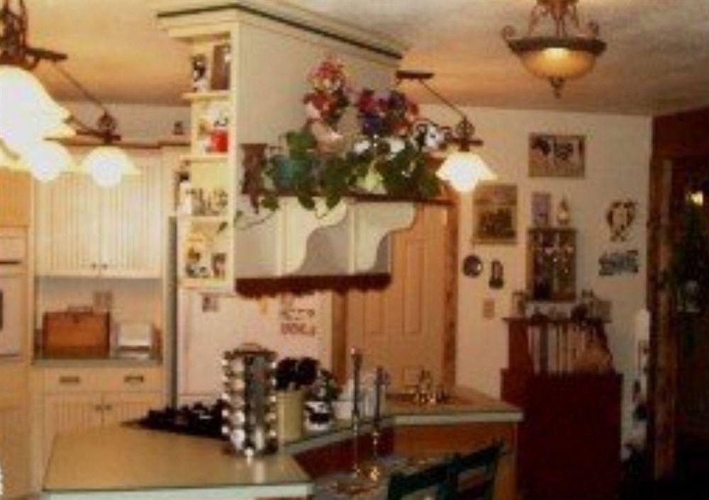 BLONDE BEAR BED AND BREAKFAST1