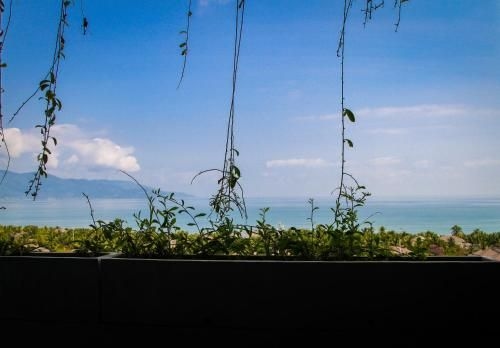 Fansipan Da Nang Hotel4