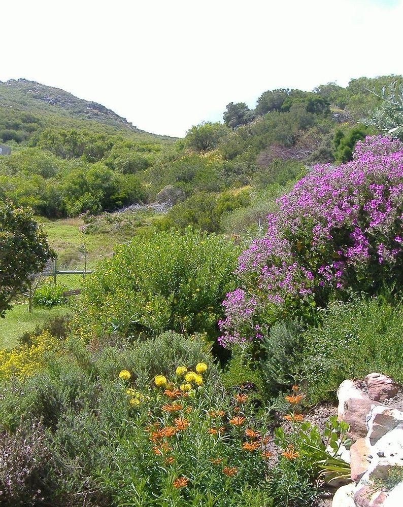 Makapa Lodge0