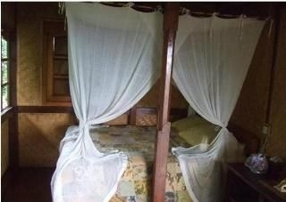 Sarinbuana Eco Lodge2