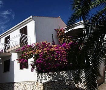 Beach Apartments Lavica4