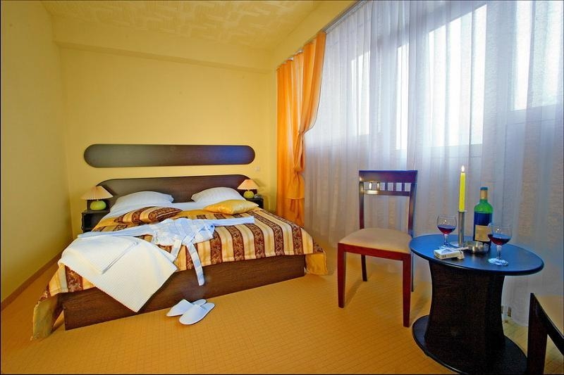 Hotel Charter Otopeni3