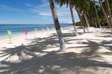 Anda White Beach Resort0