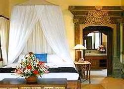 Alam Shanti Ubud0