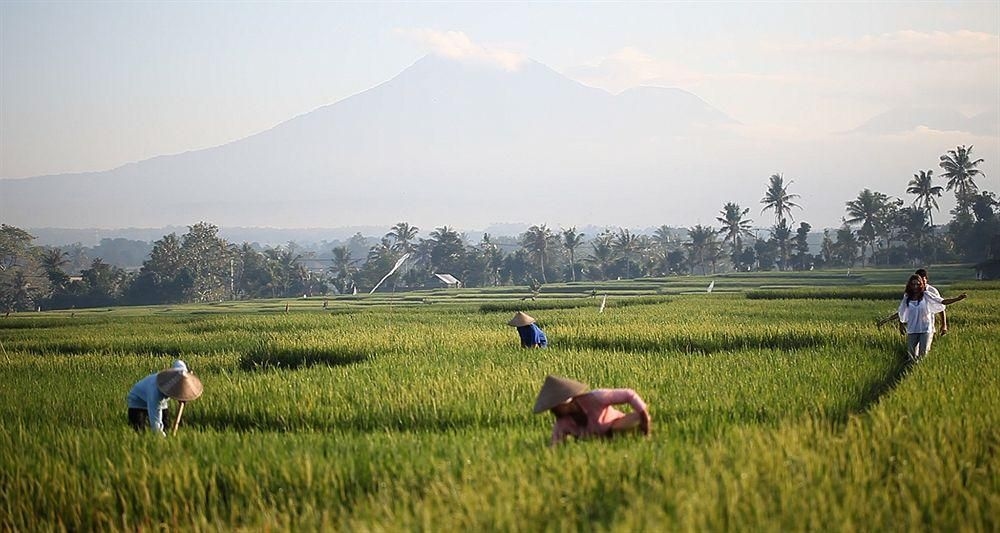 Alila Soori0