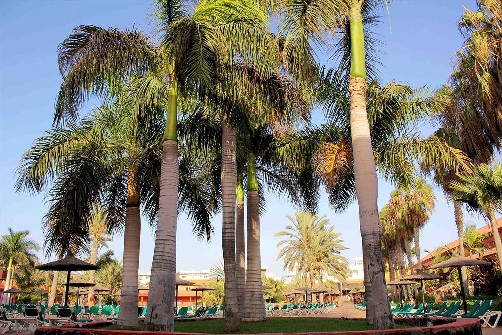 Oasis Village4