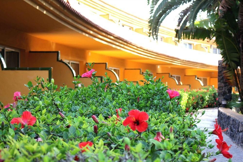 Oasis Village3