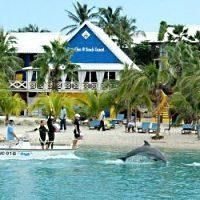 Lions Dive & Beach Resort Curacao2