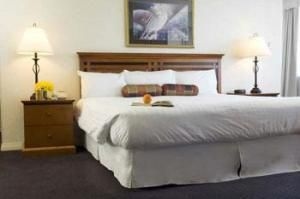 Plaza 500 Hotel4
