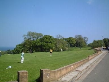 Deer Park2
