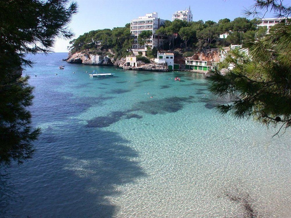 Pinos Playa Hotel1