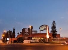 Flamingo Inn1