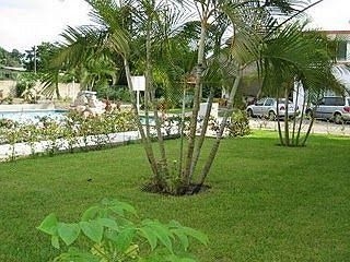 Hotel Parotas2