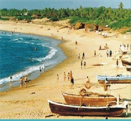 Mapple Viva Goa Resort1