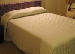 ราชา โฮเทล (Rajah Hotel)2