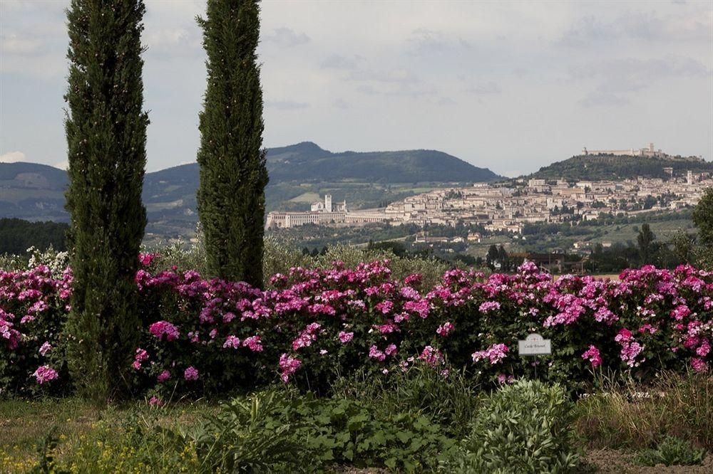 Resort & Spa San Crispino4